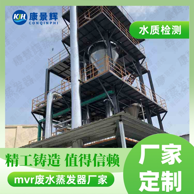 硫酸鎳 MVR 蒸發(fā)結(jié)晶系統(tǒng)